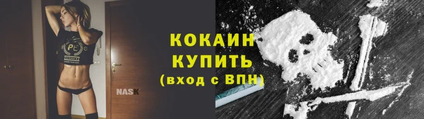 не бодяженный Новозыбков